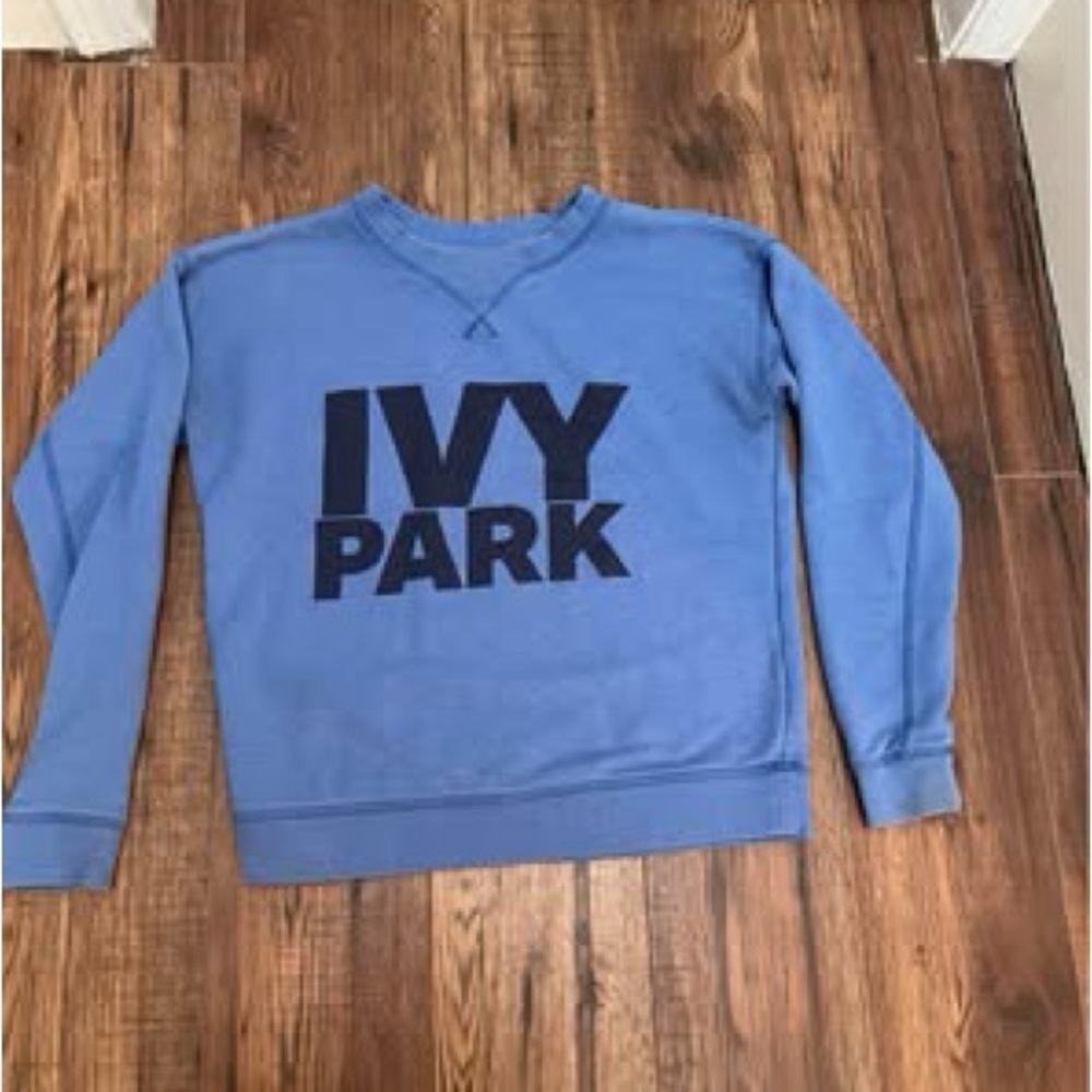 Ivy Park Blue Size Small Women's Sweatshirt
